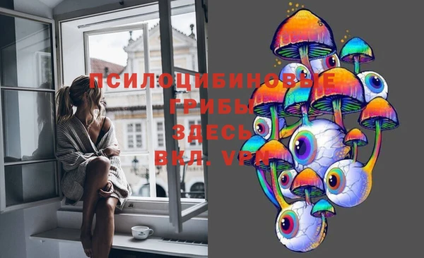 бутират Верхний Тагил